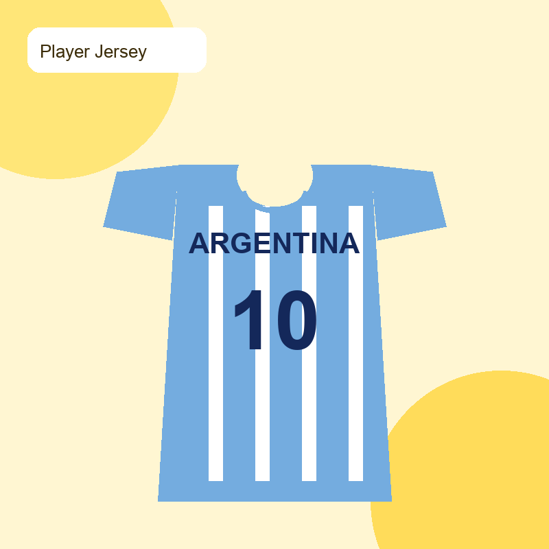 Argentina Home Jersey 10